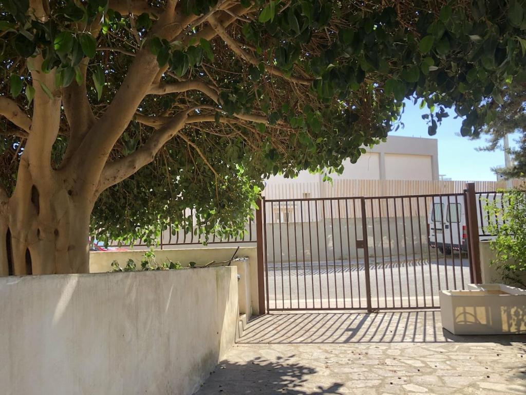 Eco Del Mare Locazioni Turistiche Apartman Monopoli Kültér fotó